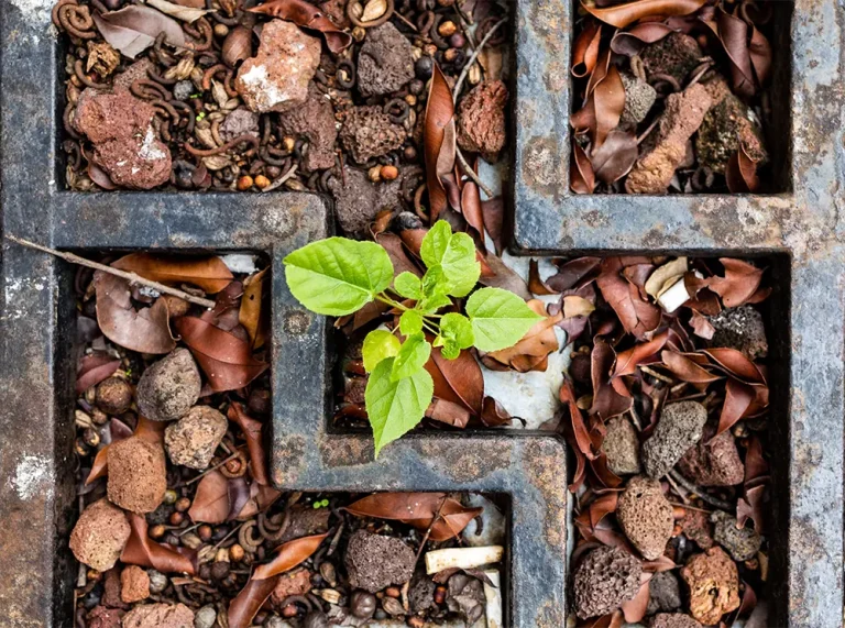 Benefits To Shredding Leaves For A Thriving Garden