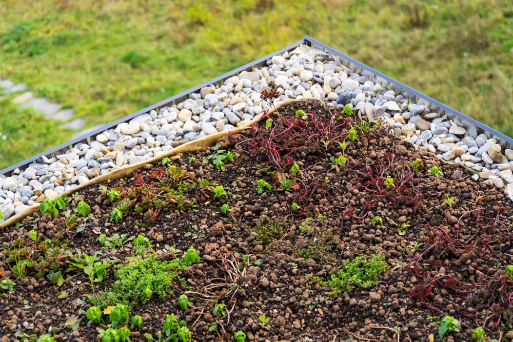 Choosing The Right Mulch For Your Garden