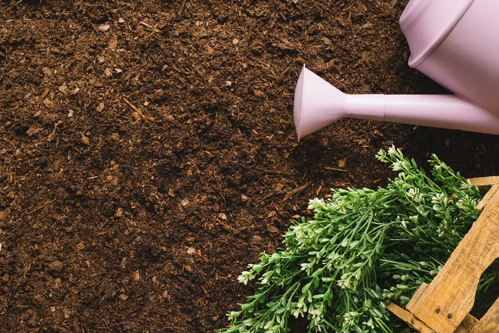 How To Use Mulch Effectively In Your Garden