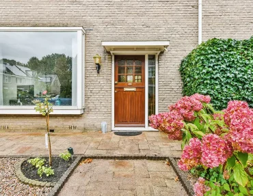 Well Maintained Front Garden